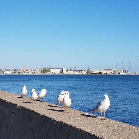 شقة With A Garden Near Port In