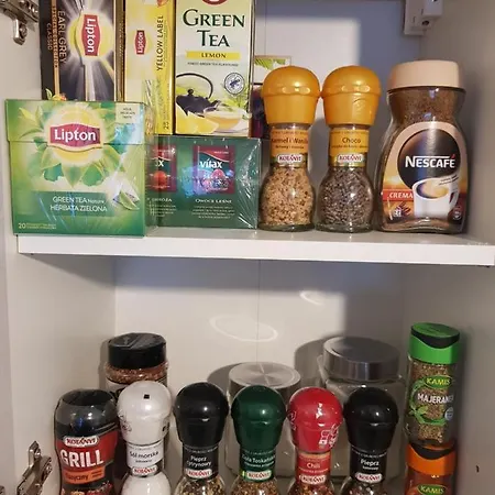 Apartament With A Garden Near Port In Gdynia