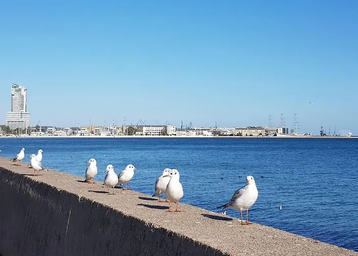 Apartament With A Garden Near Port In