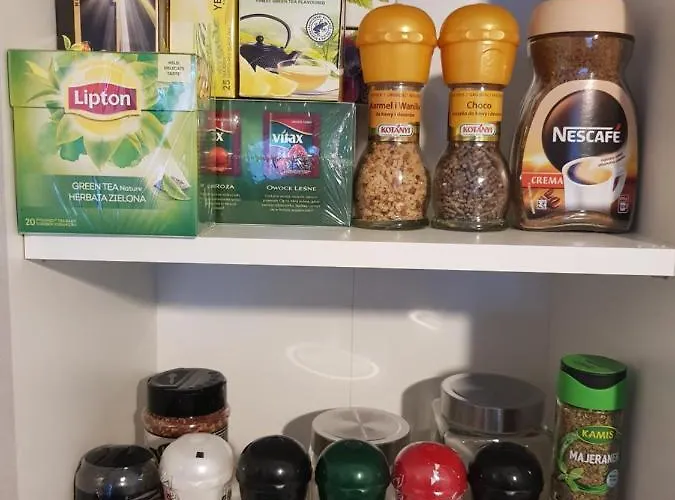 Apartament With A Garden Near Port In Gdynia